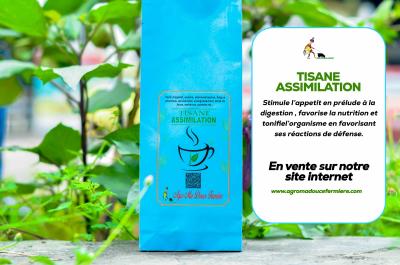 TISANE ASSIMILATION